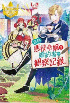 超级恋人 OVA 夏日恋歌